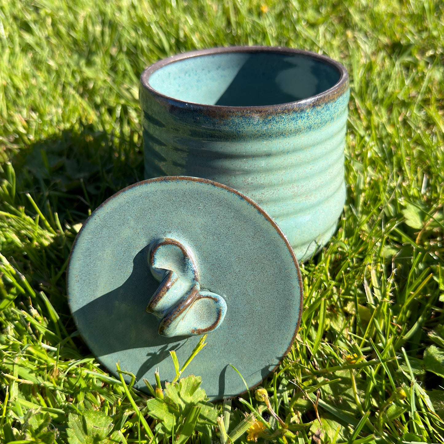 Onyx Ribbed Hydra Jar