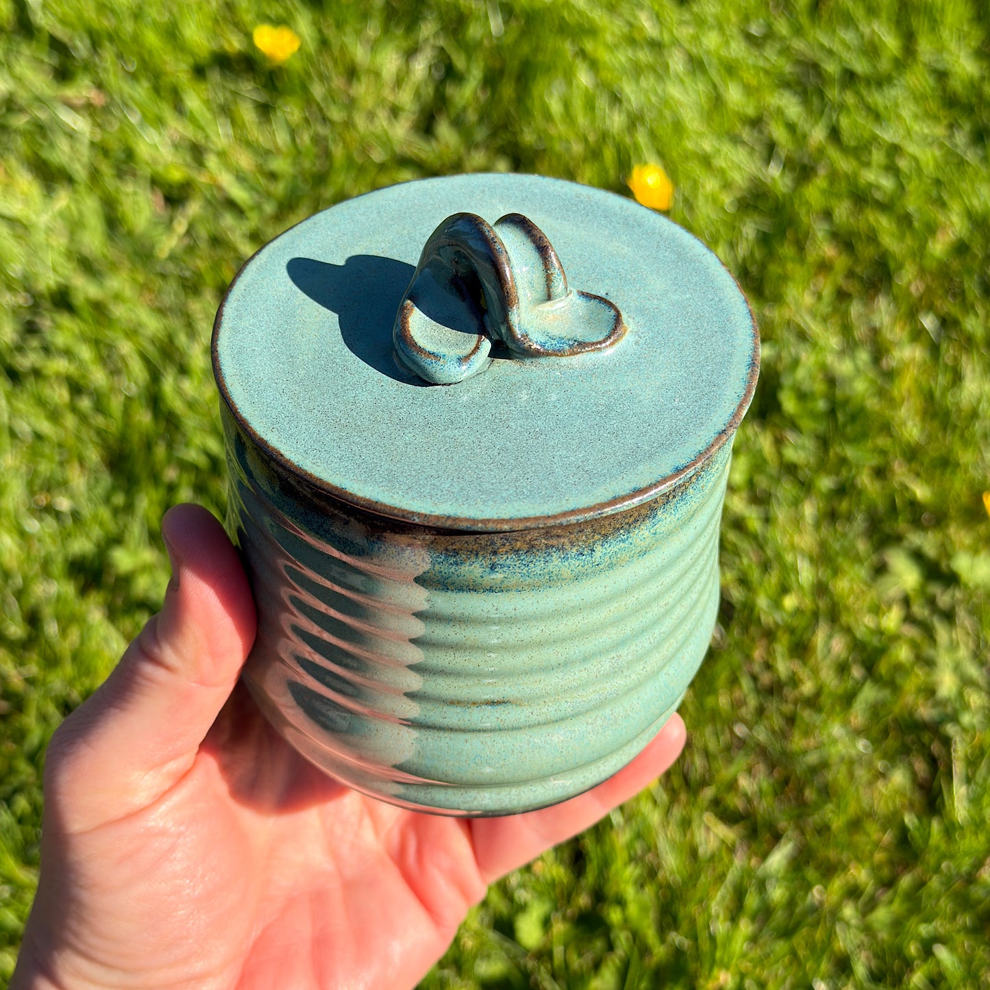 Onyx Ribbed Hydra Jar