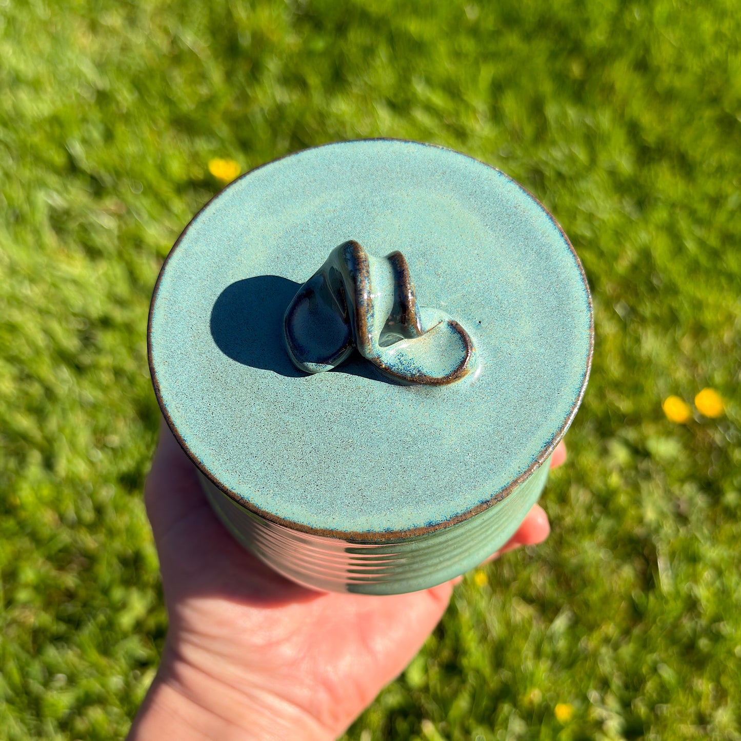 Onyx Ribbed Hydra Jar